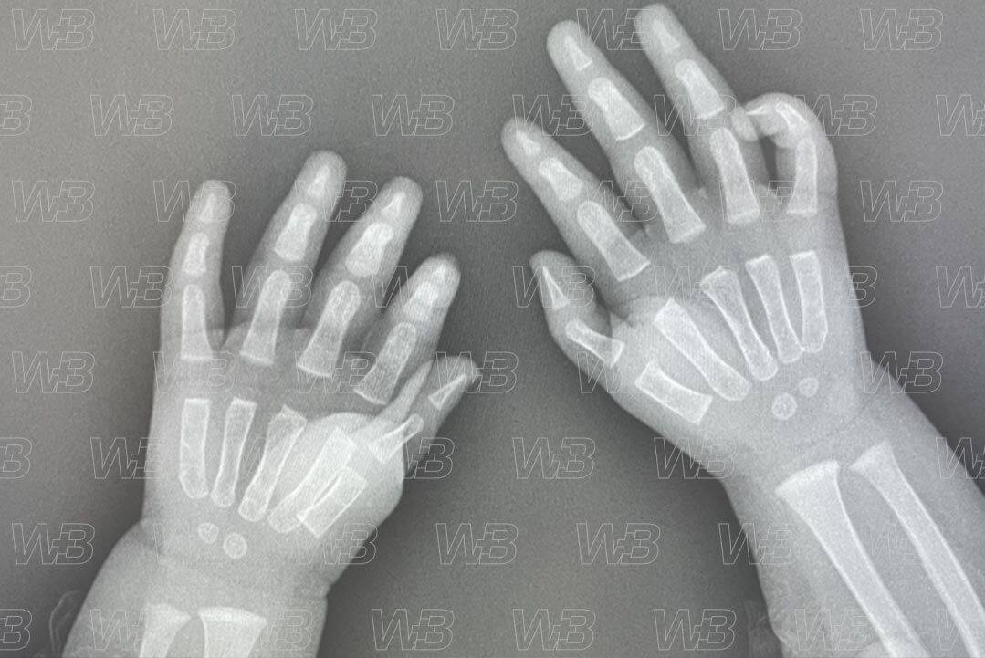 Texto alternativo para a imagem