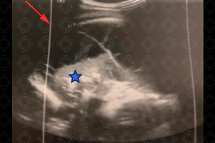 Texto alternativo para a imagem