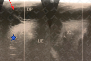 Texto alternativo para a imagem