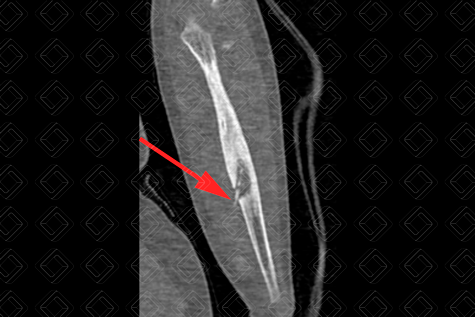 Texto alternativo para a imagem