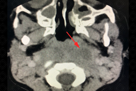 Texto alternativo para a imagem