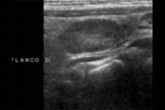 Texto alternativo para a imagem