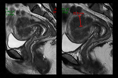 Texto alternativo para a imagem