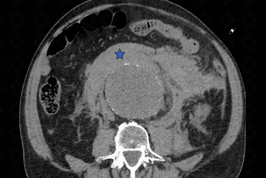 Texto alternativo para a imagem