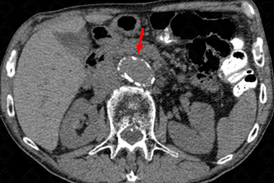 Texto alternativo para a imagem