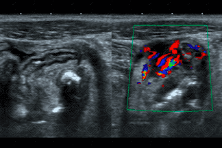 Texto alternativo para a imagem