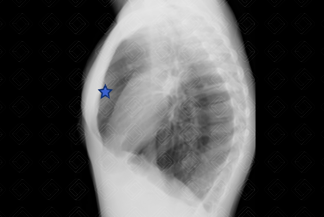 Texto alternativo para a imagem