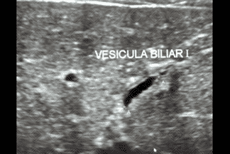 Texto alternativo para a imagem