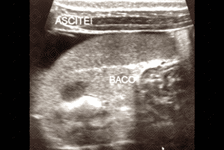 Texto alternativo para a imagem