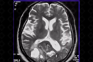 Texto alternativo para a imagem