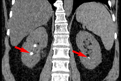 Texto alternativo para a imagem