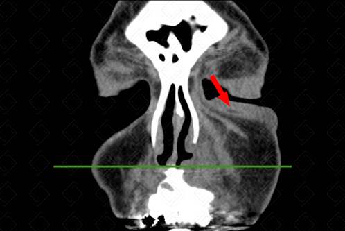 Texto alternativo para a imagem