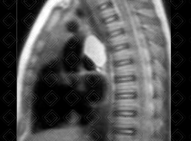 Texto alternativo para a imagem