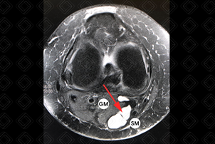 Texto alternativo para a imagem