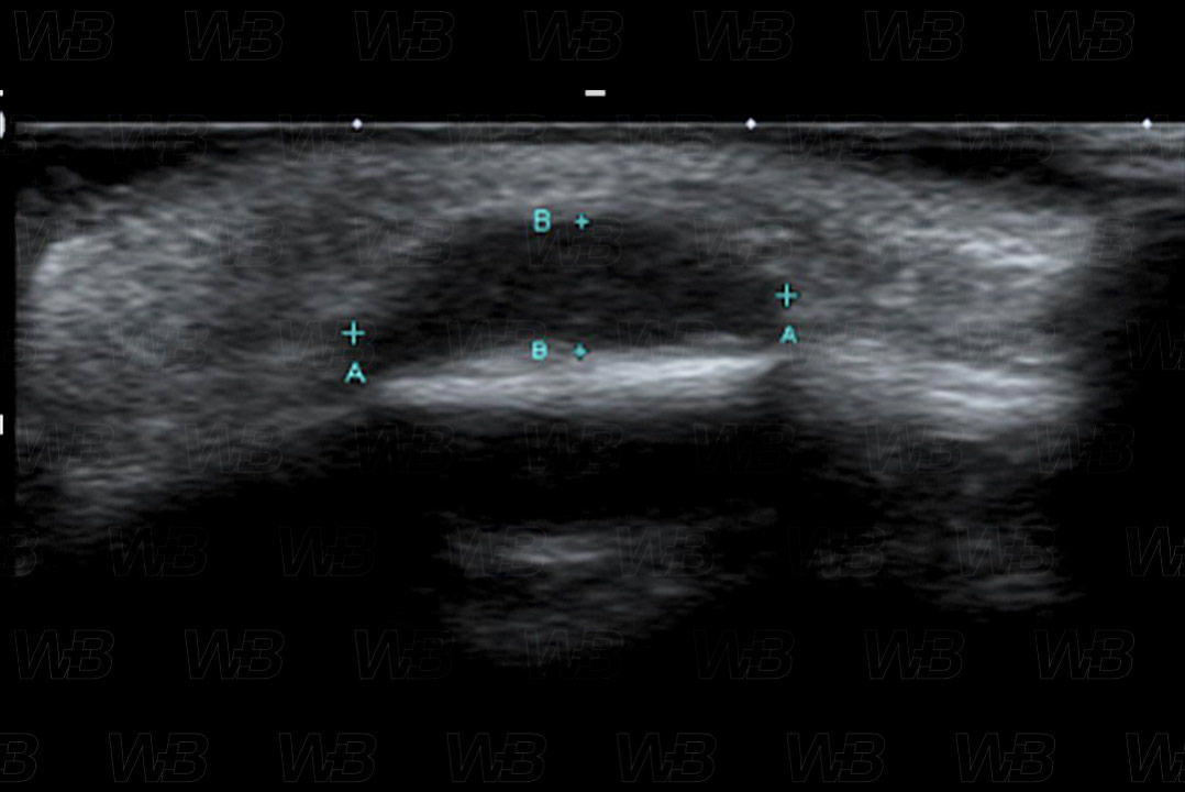 Texto alternativo para a imagem