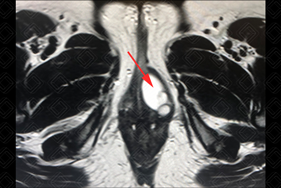 Texto alternativo para a imagem