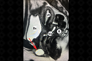 Texto alternativo para a imagem