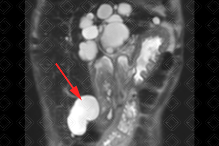 Texto alternativo para a imagem