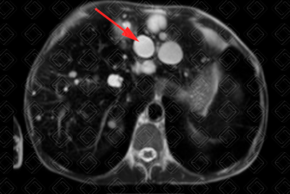 Texto alternativo para a imagem