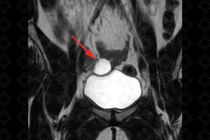 Texto alternativo para a imagem