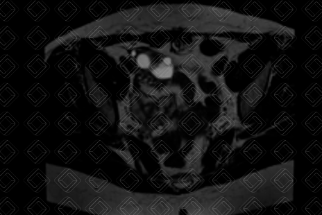 Texto alternativo para a imagem