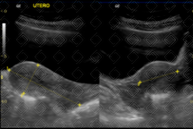 Texto alternativo para a imagem