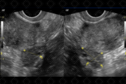 Texto alternativo para a imagem