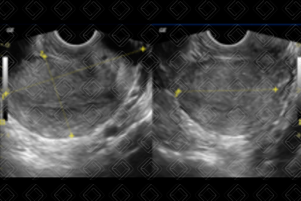 Texto alternativo para a imagem
