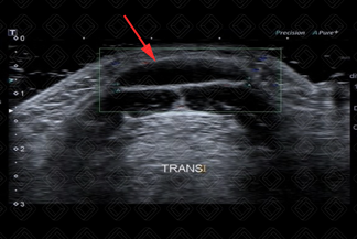 Texto alternativo para a imagem