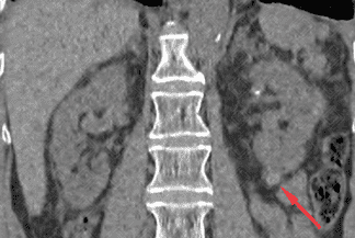 Texto alternativo para a imagem