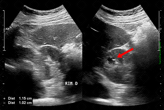 Texto alternativo para a imagem