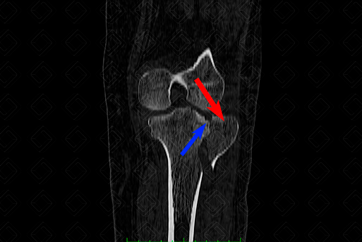 Texto alternativo para a imagem