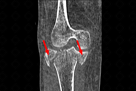 Texto alternativo para a imagem