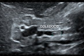 Texto alternativo para a imagem