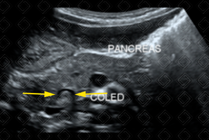 Texto alternativo para a imagem