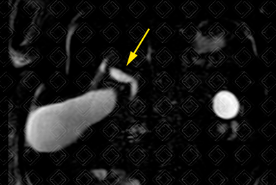 Texto alternativo para a imagem