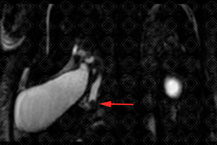 Texto alternativo para a imagem