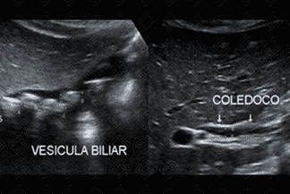 Texto alternativo para a imagem