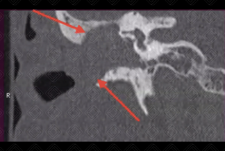 Texto alternativo para a imagem