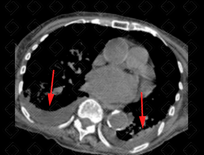 Texto alternativo para a imagem