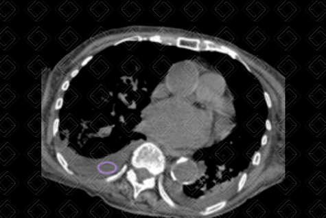 Texto alternativo para a imagem