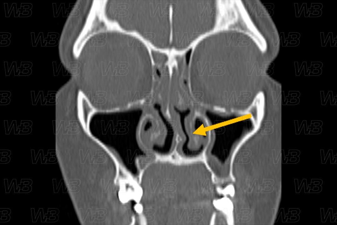 Texto alternativo para a imagem