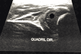 Texto alternativo para a imagem