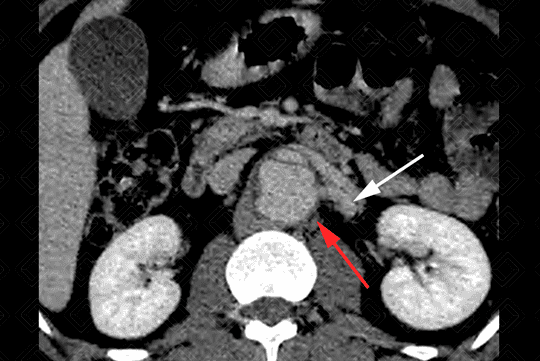 Texto alternativo para a imagem