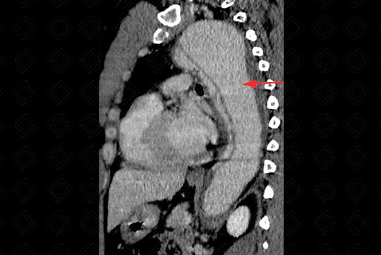 Texto alternativo para a imagem