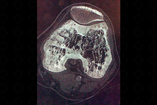 Texto alternativo para a imagem