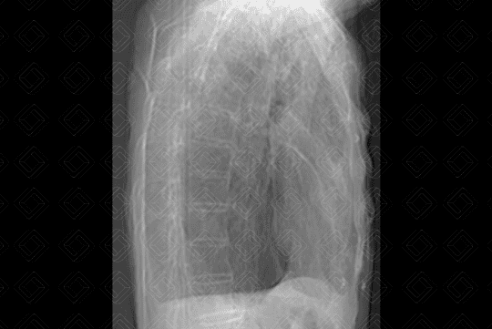 Texto alternativo para a imagem