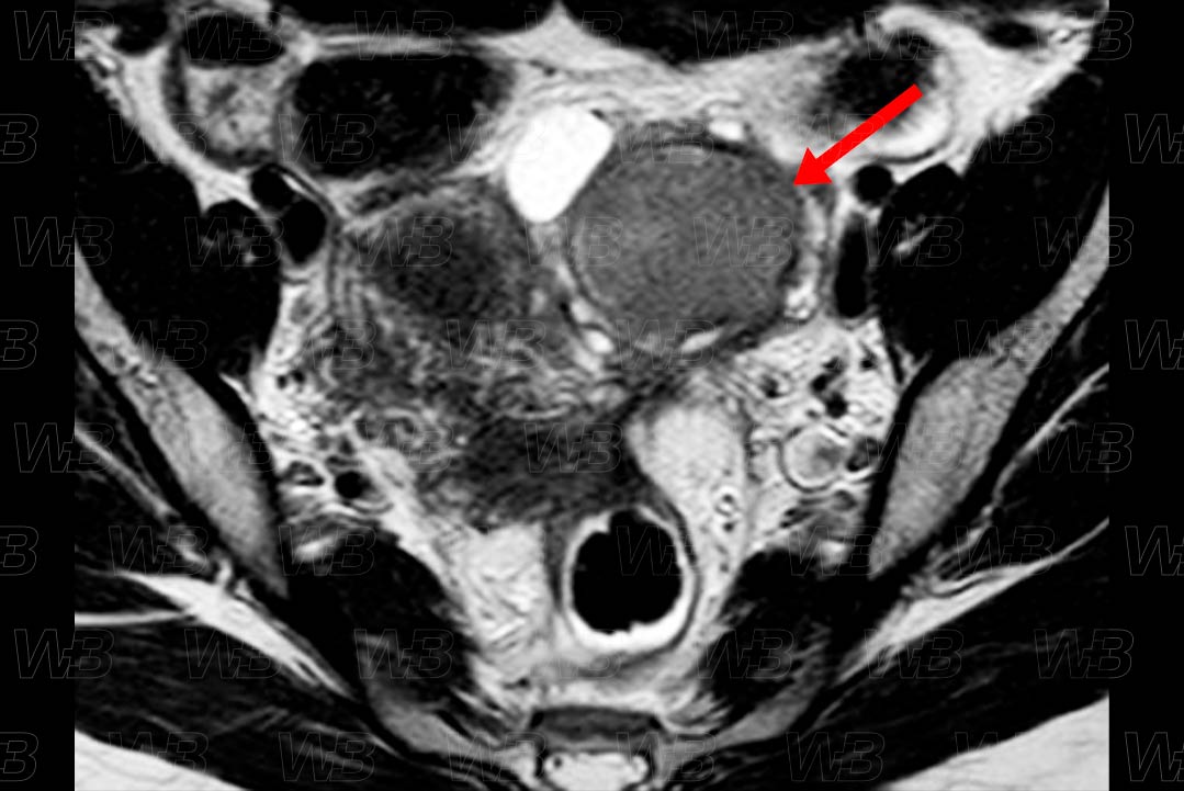 Texto alternativo para a imagem