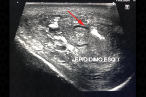 Texto alternativo para a imagem