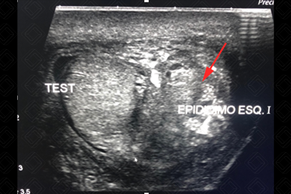 Texto alternativo para a imagem